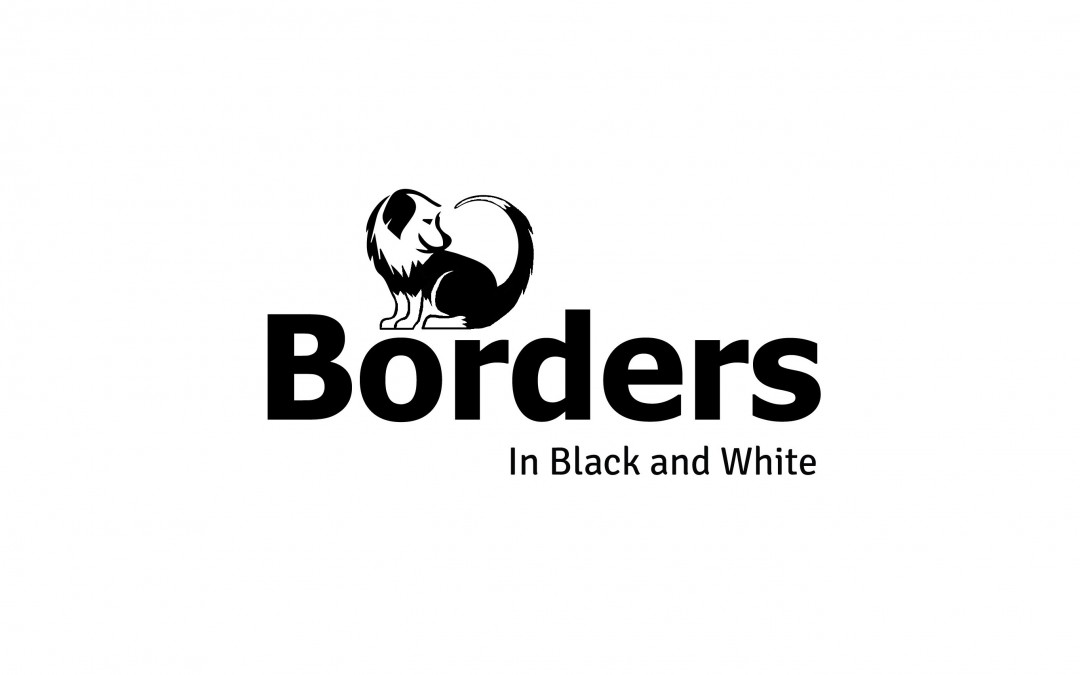 Border collie kennel alapító kutyus